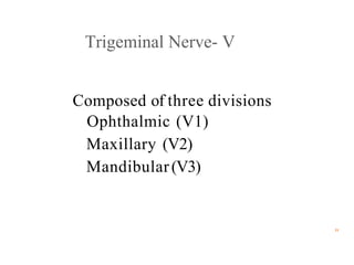 Trigeminal Nerve- V
Composed of three divisions
Ophthalmic (V1)
Maxillary (V2)
Mandibular(V3)
"
 