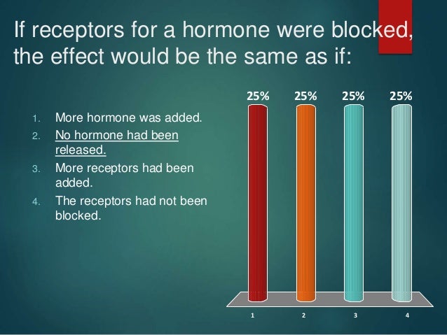 Endocrine system Physiology