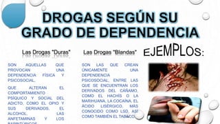 SON AQUELLAS QUE
PROVOCAN UNA
DEPENDENCIA FÍSICA Y
PSICOSOCIAL,
QUE ALTERAN EL
COMPORTAMIENTO
PSÍQUICO Y SOCIAL DEL
ADICTO, COMO EL OPIO Y
SUS DERIVADOS, EL
ALCOHOL, LAS
ANFETAMINAS Y LOS
SON LAS QUE CREAN
ÚNICAMENTE UNA
DEPENDENCIA
PSICOSOCIAL, ENTRE LAS
QUE SE ENCUENTRAN LOS
DERIVADOS DEL CÁÑAMO,
COMO EL HACHÍS O LA
MARIHUANA, LA COCAÍNA, EL
ÁCIDO LISÉRGICO, MÁS
CONOCIDO COMO LSD, ASÍ
COMO TAMBIÉN EL TABACO.
 
