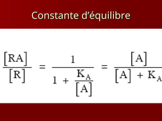 Constante d’équilibre
Constante d’équilibre
 