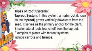 Taproot System Definition 788747239-Science4-Q2-2-observe-the-root-and-shoot-system-in-plants.pptx