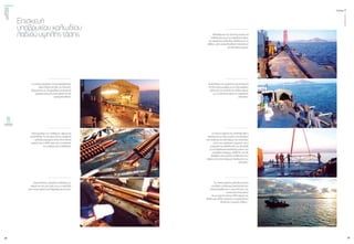 ενεργώνΑξιόπιστηκαι
ασφαλήςμεταφορά
ηλεκτρικήςενέργειας
τεύχος1
38
ΟΚΤΩΒΡΙΟΣ2015
39
Ο«χώροςεργασίας»τουμουφαρίσματος
(πρινκλείσειαπόλεςτιςπλευρές).
Θερμαίνεταισε24ωρηβάσηγιααποφυγή
υγρασίαςσταμονωτικάχαρτιάπουθα
χρησιμοποιηθούν.
Προετοιμασίατων«καθαρών»άκρωνγια
συγκόλληση.Τοέναάκροαπότοεφεδρικό
καλώδιο(στροφείοπάνωστονπλωτό
γερανό)καιτοάλλοάκροαπότοκαλώδιο
πουανέβηκεαπότηθάλασσα.
«Χειροποίητες»εργασίεςσύνδεσηςτων
άκρωνκαιτηςμόνωσήςτουςμεπεριέλιξη
μονωτικούχαρτιούκαιδιαμόρφωσηκώνων.
Eπισκευή
υποβρυχίουκαλωδίου
λαδιούυψηλήςτάσης Ολοκλήρωσητηςπρώτηςμούφαςκαι
καθέλκυσήτηςμετοαπαραίτητομήκος
τουεφεδρικούκαλωδίουανάλογουμετο
βάθος,ώστεναακολουθήσειηκατασκευή
τηςδεύτερηςμούφας.
Επανάληψητωνεργασιώνγιακατασκευή
τηςδεύτερηςμούφαςμετονίδιοακριβώς
τρόπογιατηνσύνδεσητουάλλουάκρου
μετοαντίστοιχοάκροτουεφεδρικού
καλωδίου.
Σεαυτότοσημείοέχειολοκληρωθείη
κατασκευήτωνδύομουφώνπουβοηθούν
στησύνδεσητωνδύοάκρωντουκαλωδίου
μέσωτουεφεδρικούτμήματος καιη
ετοιμασίατηςκαθέλκυσήςτουστοβυθό
μετηνδιαδικασίαπρόσδεσηςεπάνωστο
μεταλλικόστήριγμα«ΩΜΕΓΑ»πουθα
βοηθήσειστηνομαλήτοποθέτησηστον
πυθμένακαιστηναποφυγήτσακίσματοςτου
καλωδίου.
Τοεπισκευασμένοκαλώδιοκείτεται
στοβυθό,ηηλεκτρικήδιασύνδεσηέχει
αποκατασταθείκαιοι«συντελεστές»της
επισκευήςαποχωρούν!
Ίσωςτώρασεκάποιοάλλοσημείοτου
βυθούμιαςάλληςπεριοχήςναεμφανίζονται
δειλάνέεςσταγόνεςλαδιού...
 