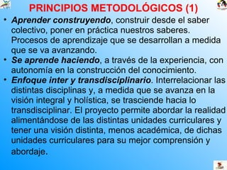 PRINCIPIOS METODOLÓGICOS (1) Aprender construyendo , construir desde el saber colectivo, poner en práctica nuestros saberes. Procesos de aprendizaje que se desarrollan a medida que se va avanzando. Se aprende haciendo , a través de la experiencia, con autonomía en la construcción del conocimiento. Enfoque inter y transdisciplinario . Interrelacionar las distintas disciplinas y, a medida que se avanza en la visión integral y holística, se trasciende hacia lo transdisciplinar. El proyecto permite abordar la realidad alimentándose de las distintas unidades curriculares y tener una visión distinta, menos académica, de dichas unidades curriculares para su mejor comprensión y abordaje . 