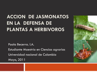 ACCION DE JASMONATOS
EN LA DEFENSA DE
PLANTAS A HERBIVOROS

Paola Becerra. I.A.
Estudiante Maestría en Ciencias agrarias
Universidad nacional de Colombia
Mayo, 2011
 