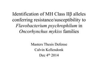 Identification of MH Class IIβ alleles
conferring resistance/susceptibility to
Flavobacterium psychrophilum in
Oncorhynchus mykiss families
Masters Thesis Defense
Calvin Kellendonk
Dec 4th 2014
 