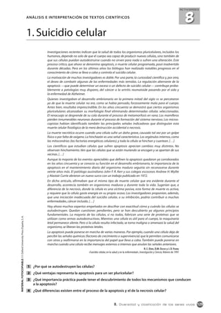 ANÁLISIS E INTERPRETACIÓN DE TEXTOS CIENTÍFICOS
1. Suicidio celular
Investigaciones recientes indican que la salud de todos los organismos pluricelulares, incluidos los
humanos, depende no solo de que el cuerpo sea capaz de producir nuevas células, sino también de
que sus células puedan autodestruirse cuando no sirven para nada o sufren una alteración. Este
proceso crítico, que ahora se denomina apoptosis, o muerte celular programada, pasó inadvertido
durante décadas. Pero en los últimos años los biólogos han realizado notables progresos en el
conocimiento de cómo se lleva a cabo y controla el suicidio celular.
La motivación de muchos investigadores es doble. Por una parte, la curiosidad científica y, por otra,
el deseo de combatir algunas de las enfermedades más temidas. La regulación aberrante de la
apoptosis —que puede determinar un exceso o un defecto de suicidio celular— contribuye proba-
blemente a patologías muy dispares, del cáncer a la artritis reumatoide pasando por el sida y
la enfermedad de Alzheimer.
Quienes investigaban el desarrollo embrionario en la primera mitad del siglo XX se percataron
ya de que la muerte celular no era, como se había pensado, forzosamente mala para el cuerpo.
Antes bien, resultaba imprescindible. En los años cincuenta se demostró que ciertos organismos
pluricelulares alcanzaban su morfología final eliminando determinadas células seleccionadas.
El renacuajo se desprende de su cola durante el proceso de metamorfosis en rana. Los mamíferos
pierden innumerables neuronas durante el proceso de formación del sistema nervioso. Los micros-
copistas habían identificado también las principales señales indicadoras que distinguían esta
muerte celular fisiológica de la mera destrucción accidental o necrosis.
La muerte necrótica ocurre cuando una célula sufre un daño grave, causado tal vez por un golpe
físico o por falta de oxígeno.La hinchazón es una señal característica.Los orgánulos internos,como
las mitocondrias (las factorías energéticas celulares),y toda la célula se hinchan y cuartean.[…]
Los científicos que estudian células que sufren apoptosis aprecian cambios muy distintos. No
observan hinchamiento.Ven que las células que se están muriendo se encogen y se apartan de sus
vecinas.[…]
Aunque la mayoría de los eventos apreciables que definen la apoptosis quedaron ya corroborados
en los años cincuenta y se conocía su función en el desarrollo embrionario, la importancia de la
apoptosis en el mantenimiento diario del organismo maduro seguiría sin reconocerse durante
veinte años más. El patólogo australiano John F. R. Kerr y sus colegas escoceses Andrew H. Wyllie
y Alastair Currie abrieron un nuevo surco con un trabajo publicado en 1972.
En dicho artículo, afirmaban que el mismo tipo de muerte celular que era evidente durante el
desarrollo, acontecía también en organismos maduros y durante toda la vida. Sugerían que, a
diferencia de la necrosis, donde la célula es una víctima pasiva, esta forma de muerte es activa,
y requiere que la célula gaste energía en su propio ocaso. Los investigadores proponían, además,
que una iniciación inadecuada del suicidio celular, o su inhibición, podría contribuir a muchas
enfermedades,cáncer incluido.[…]
Hay ahora muchos expertos empeñados en descifrar con exactitud cómo y cuándo las células se
autodestruyen. Quedan cuestiones pendientes, pero se han descubierto ya algunos principios
fundamentales. La mayoría de las células, si no todas, fabrican una serie de proteínas que se
utilizan como armas autodestructivas. Mientras una célula es útil para el cuerpo, la maquinaria
letal permanece silente. Pero si la célula resulta infectada, se torna maligna o amenaza la salud del
organismo,se liberan las proteínas letales.
La apoptosis puede ponerse en marcha de varias maneras. Por ejemplo, cuando una célula deja de
percibir las señales químicas (factores de crecimiento o supervivencia) que le permiten comunicarse
con otras y reafirmarse en la importancia del papel que lleva a cabo. También puede ponerse en
marcha cuando una célula recibe mensajes externos o internos que anulan las señales anteriores.
R.C.DUKE,D.M.OJCIUS y J.D.YOUNG
«Suicidio celular,en la salud y en la enfermedad»,Investigación y Ciencia,febrero de 1997
¿Por qué se autodestruyen las células?
¿Qué ventajas representa la apoptosis para un ser pluricelular?
¿Qué importancia práctica puede tener el descubrimiento de todos los mecanismos que conducen
a la apoptosis?
¿Qué diferencias existen entre el proceso de la apoptosis y el de la necrosis celular?4
3
2
1
1298. Diversidad y clasificación de los seres vivos
MATERIALFOTOCOPIABLE/©OxfordUniversityPressEspaña,S.A.
ACTIVIDADES
8
0B1BGLP.08 9/10/08 13:04 Página 129
 