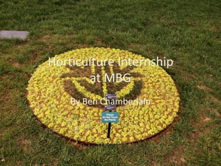 Horticulture Internship
at MBG
By Ben Chamberlain
 