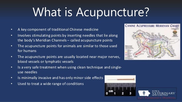 veterinary-acupuncture-for-pain-management-2-638.jpg?cb=1448902247