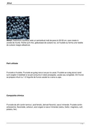 Afinul




Afinul (Vaccinium myrtillus) este un semiarbust inalt de pana la 30-50 cm, care creste in
zonele de munte. Florile sunt mici, globuloase de culoare roz, iar fructele au forma unor bobite
de culoare neagra-albastruie.




Parti utilizate




Frunzele si fructele. Frunzele se guleg vara si se pun la uscat. Fructele se culeg atunci cand
sunt coapte in totalitate si se pot consuma in stare proaspata, uscata sau congelate. Din frunze
se prepara infuzii cu 1-2 lingurite de frunze uscate la o cana cu apa.




Compozitia chimica




Frunzele de afin contin taninuri, acid fenolic, derivati flavonici, saruri minerale. Fructele contin
antocianine, flavonoide, zaharuri, acizi orgaici si saruri minerale (calciu, fosfor, magneziu, sulf,
potasiu, fier).




                                                                                                 1/3
 