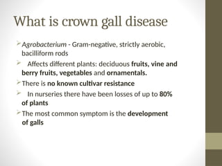 Galls Protector Rods 790060346-9-Agrobacterium-and-Crown-gall-disease.pptx