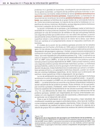 Biologia celular cooper-la-celula