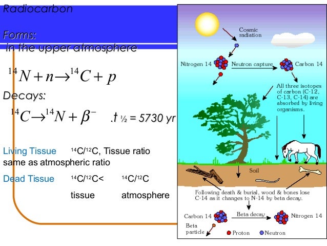 who is maya moore dating