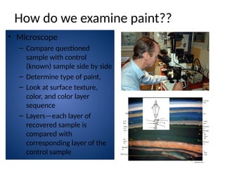 790896677-Forensic-Paint-Analysis.pptxff | PPTX