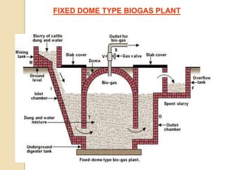 FIXED DOME TYPE BIOGAS PLANT
 
