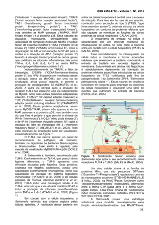 ISSN 2318-4752 – Volume 1, N1, 2013
3
(“interleukin 1 receptor-associated kinase”), TRAF6
(“tumor necrosis factor receptor associated factor”),
TAB1 (“transforming growth factor b-activated
protein kinase-binding protein”) e TAK1
(“transforming growth factor b-associated kinase”),
mas também as MAP quinases (“MAPKK, MAP
kinase kinase”) e a proteína p38. Essa cascata de
ativações moleculares, principalmente pela
ubiquidade do complexo molecular NEMO (“nuclear
factor kB essential modifier”) / IKKa (“inhibitor of kB
kinase a”) / IKKb (“inhibitor of kB kinase b”), induz a
degradação de IkB, a translocação de NF-kB para o
núcleo e a ativação de AP-1 (“adaptor protein 1”)
levando à ativação transcripcional de certos genes
que codificam as citocinas inflamatórias, tais como
TNF-a, IL-1, IL-6, IL-8, IL-12 ou ainda MIP1a
(“macrophage inflammatory protein 1 a”).
Independentemente de TRAF6, o fator de
transcrição C/EBPb (“CCAAT/enhancer-binding
protein b”) (ou NFIL- 6) parece ser mobilizado desde
a ativação dessa via (MyD88), por uma via de
sinalização ainda pouco descrita, e permite a
produção de prostaglandina E2 (UEMATSU et al.,
2002). A outra via ativada após a ativação do
receptor TLR-4 faz intervenir uma via independente
de MyD88, onde duas outras proteínas adaptadoras
intervêm, TRAM (“TRIF-related adapter molecule”) e
TRIF (“Toll/interleukin-1 receptor domain-containing
adaptor protein inducing interferon b”) (YAMAMOTO
et al., 2002). Essas proteíns adaptadoras, assim
como MyD88/TIRAP, ativam não apenas a via de
MAP quinases e a proteína p38, mas também uma
via que lhes é própria e que permite a síntese de
IFN-b (“interferon b”), NOS2 (“nitric oxide sintase 2”)
e de IP-10 (“interferon inducible protein 10”) após a
ativação do fator de transcrição IRF-3 (“interferon
regulatory factor 3”) (BEUTLER et al., 2003). Todo
esse processo de sinalização pode ser visualizado,
esquematicamente, na Figura 1.
O TLR-4 não exerce apenas um papel de
reconhecimento do patógeno, ele intervém,
também, na fagocitose de bactérias Gram-negativo
e Gram-positivo. Esse efeito é regulado pela
cascata de sinalização MyD88/IRAK-4/p38 (DOYLE
et al., 2004).
A Salmonella é, também, reconhecida pelo
TLR-5. Contrariamente ao TLR-4, que possui vários
ligantes diferentes, o TLR-5 apresenta uma
afinidade exclusiva pela flagelina. Essa proteína,
expressa nos flagelos bacterianos, possui uma
capacidade extremamente imunogênica, como sua
capacidade de ativação do sistema fagocitário
mononuclear (HAYASHI et al., 2001) e de células
epiteliais da mucosa intestinal (GEWIRTZ et al.,
2001). TLR-5 induz uma mensagem similar à do
TLR-4, uma vez que a via ativada mobiliza NF-kB e
induz a produção de citocinas pro-inflamatórias
como TNF-a e IL-6 (HAYASHI et al., 2001) (Figura
1).
Em contato com a célula hospedeira, a
Salmonella estimula sua própria captura pelas
células epiteliais. A habilidade dessa bactéria em
entrar na célula hospedeira é central para o sucesso
da infecção. Para isso ela faz uso de um aparato,
conhecido como secreção do tipo 3 (TTSS, “type
three secretion system”), onde ela introduz na célula
hospedeira um conjunto de proteínas efetoras que
são capazes de mimetizar as funções de várias
proteínas da célula hospedeira (GALÁN, 2001).
O mecanismo de entrada na célula é
caracterizado por um profundo rearranjo do
citoesqueleto de actina no local onde a bactéria
entra em contato com a célula hospedeira (PATEL &
GALÁN, 2005).
Esse remodelamento do citoesqueleto da
célula induz a membrana a formar extensões
celulares que envelopam a bactéria, conduzindo à
entrada da bactéria em vacúolos ligados à
membrana. Essa entrada em células não fagocíticas
é absolutamente dependente da liberação de
proteínas efetoras específicas introduzidas na célula
hospedeira via TTSS codificadas pela ilha de
patogenicidade 1 da Salmonella (SPI-1, “Salmonella
pathogenicity island 1”). Esses fatores de virulência
funcionam em conjunto para empregar as proteínas
da célula hospedeira e orquestrar uma série de
eventos que culminam na entrada da bactéria
(PATEL et al., 2005).
Figura 1. Sinalização celular induzida pela
Salmonella logo após o seu reconhecimento pelos
receptores TLR-4 e TLR-5. (SALEZ & MALO, 2004).
Um alvo celular chave é a família de
proteínas Rho, que são pequenas GTPases
(“Guanidine Tri-Phosphatases”) reguladoras centrais
do citoesqueleto eucarioto (ETIENNE-MANNEVILLE
& HALL, 2002). As RhoGTPases funcionam como
“ativadores/desativadores” moleculares, alternando
entre a forma GTP-ligada ativa e a forma GDP-
ligada inativa. Essa troca binária de nucleotídeos
induz mudanças estruturais definidas (VETTER &
WITTINGHOFER, 2001).
A Salmonella possui uma estratégia
sofisticada para modular reversivelmente essa
função ativadora/desativadora das RhoGTPases.
38
 