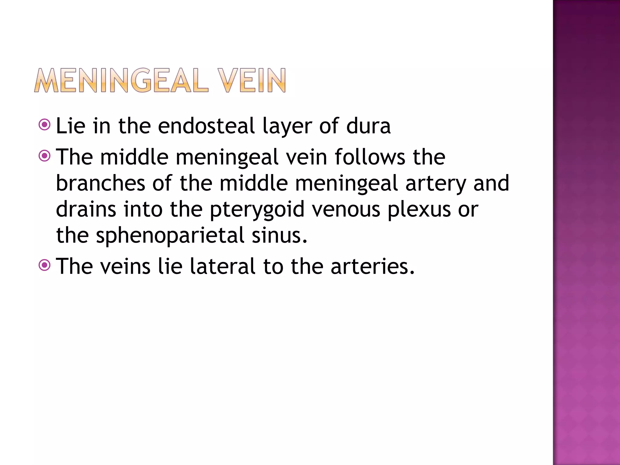 Lie in the endosteal layer of dura The middle meningeal vein follows the branches of the middle meningeal artery and drains into the pterygoid venous plexus or the sphenoparietal sinus. The veins lie lateral to the arteries. 
