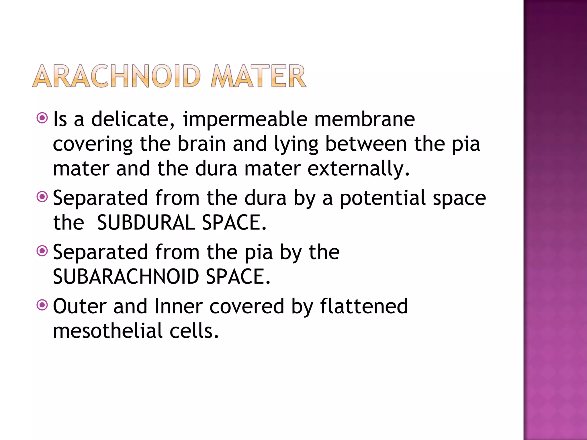 Is a delicate, impermeable membrane covering the brain and lying between the pia mater and the dura mater externally.  Separated from the dura by a potential space the  SUBDURAL SPACE. Separated from the pia by the SUBARACHNOID SPACE. Outer and Inner covered by flattened mesothelial cells. 