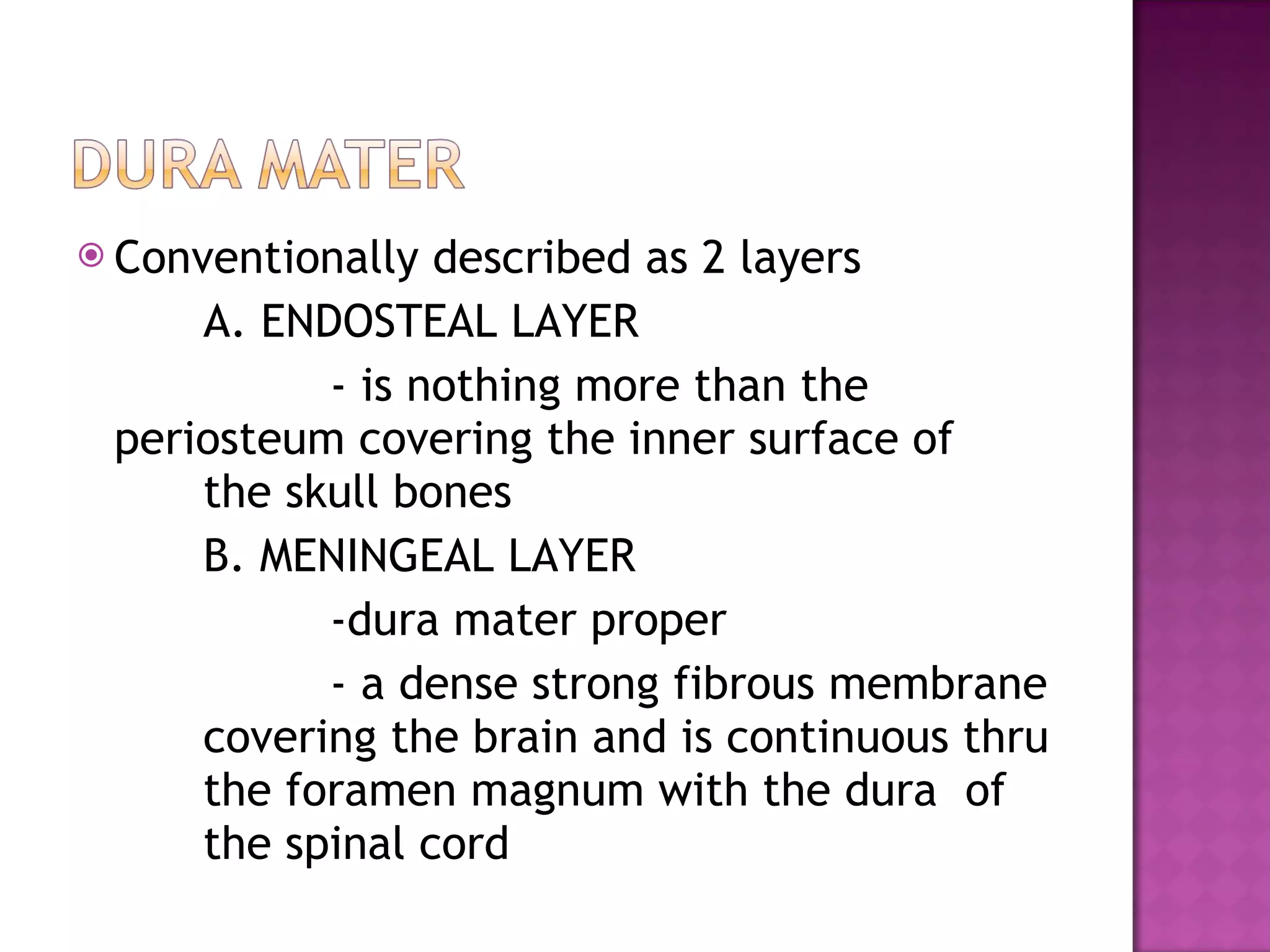 Conventionally described as 2 layers A. ENDOSTEAL LAYER - is nothing more than the  periosteum covering the inner surface of  the skull bones  B. MENINGEAL LAYER -dura mater proper - a dense strong fibrous membrane  covering the brain and is continuous thru  the foramen magnum with the dura  of  the spinal cord 