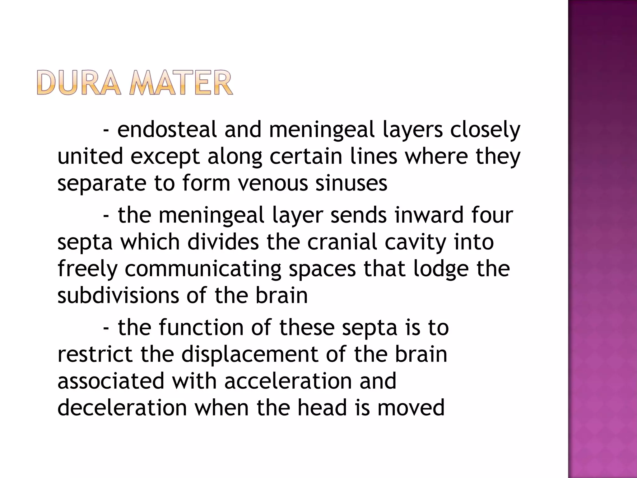 - endosteal and meningeal layers closely united except along certain lines where they separate to form venous sinuses - the meningeal layer sends inward four septa which divides the cranial cavity into freely communicating spaces that lodge the subdivisions of the brain - the function of these septa is to restrict the displacement of the brain associated with acceleration and deceleration when the head is moved 