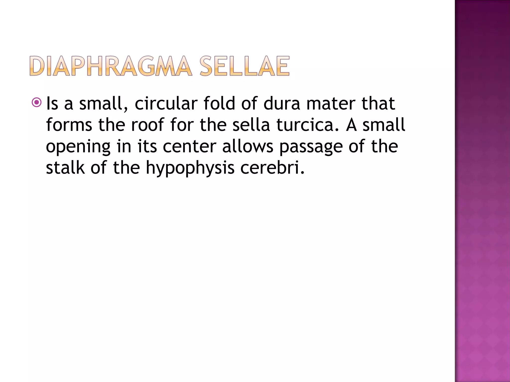 Is a small, circular fold of dura mater that forms the roof for the sella turcica. A small opening in its center allows passage of the stalk of the hypophysis cerebri. 