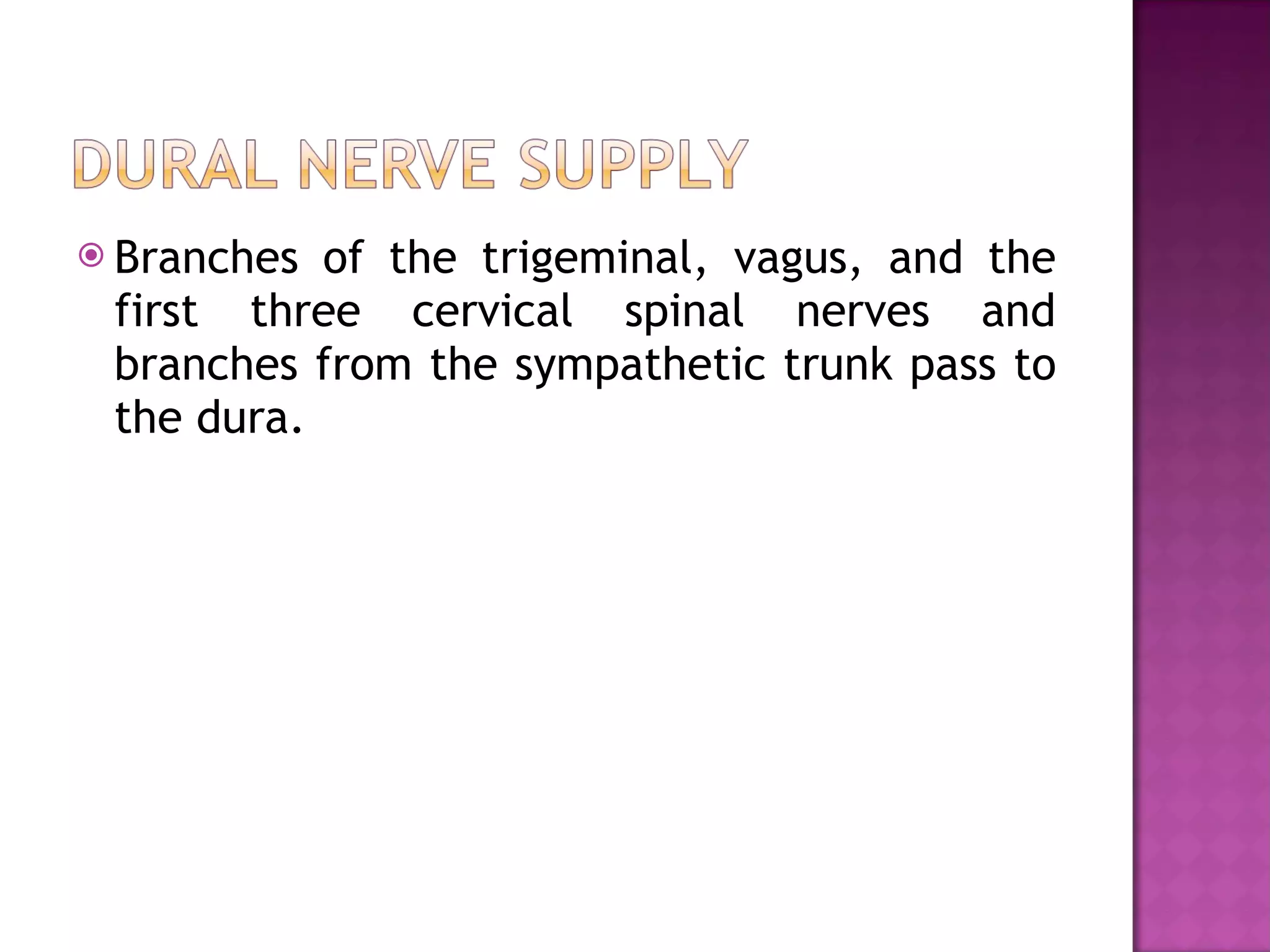 Branches of the trigeminal, vagus, and the first three cervical spinal nerves and branches from the sympathetic trunk pass to the dura. 