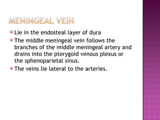 Lie in the endosteal layer of dura The middle meningeal vein follows the branches of the middle meningeal artery and drains into the pterygoid venous plexus or the sphenoparietal sinus. The veins lie lateral to the arteries. 