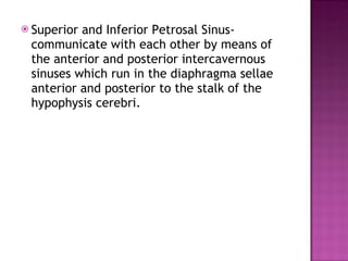 Superior and Inferior Petrosal Sinus- communicate with each other by means of the anterior and posterior intercavernous sinuses which run in the diaphragma sellae anterior and posterior to the stalk of the hypophysis cerebri. 