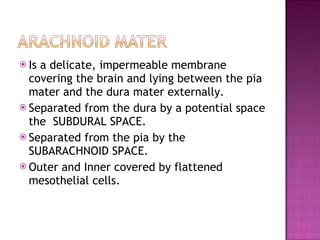 Is a delicate, impermeable membrane covering the brain and lying between the pia mater and the dura mater externally.  Separated from the dura by a potential space the  SUBDURAL SPACE. Separated from the pia by the SUBARACHNOID SPACE. Outer and Inner covered by flattened mesothelial cells. 