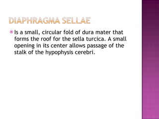Is a small, circular fold of dura mater that forms the roof for the sella turcica. A small opening in its center allows passage of the stalk of the hypophysis cerebri. 