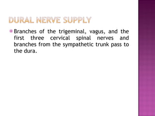 Branches of the trigeminal, vagus, and the first three cervical spinal nerves and branches from the sympathetic trunk pass to the dura. 
