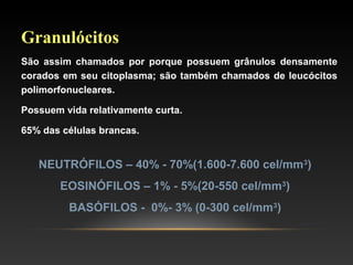 Granulócitos
São assim chamados por porque possuem grânulos densamente
corados em seu citoplasma; são também chamados de leucócitos
polimorfonucleares.
Possuem vida relativamente curta.
65% das células brancas.
NEUTRÓFILOS – 40% - 70%(1.600-7.600 cel/mm3
)
EOSINÓFILOS – 1% - 5%(20-550 cel/mm3
)
BASÓFILOS - 0%- 3% (0-300 cel/mm3
)
 