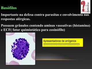 Basófilos
Importante na defesa contra parasitas e envolvimento nas
respostas alérgicas.
Possuem grânulos contendo aminas vasoativas (histamina)
e ECF( fator quimiotático para eosinófilo)
Apresentadoras de antígenos
??????????????????????????
 