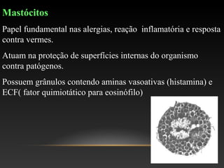 Mastócitos
Papel fundamental nas alergias, reação inflamatória e resposta
contra vermes.
Atuam na proteção de superfícies internas do organismo
contra patógenos.
Possuem grânulos contendo aminas vasoativas (histamina) e
ECF( fator quimiotático para eosinófilo)
 