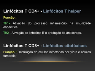 Linfócitos T CD4+ - Linfócitos T helper
Função:
Th1- Ativacão do processo inflamatório na imunidade
específica.
Th2 - Ativação de linfócitos B e produção de anticorpos.
Linfócitos T CD8+ - Linfócitos citotóxicos
Função : Destruição de células infectadas por vírus e células
tumorais
 