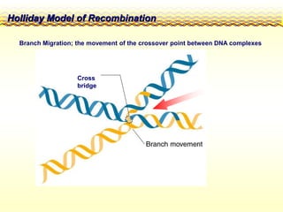 Recombination methods, Recombination methods | PPT