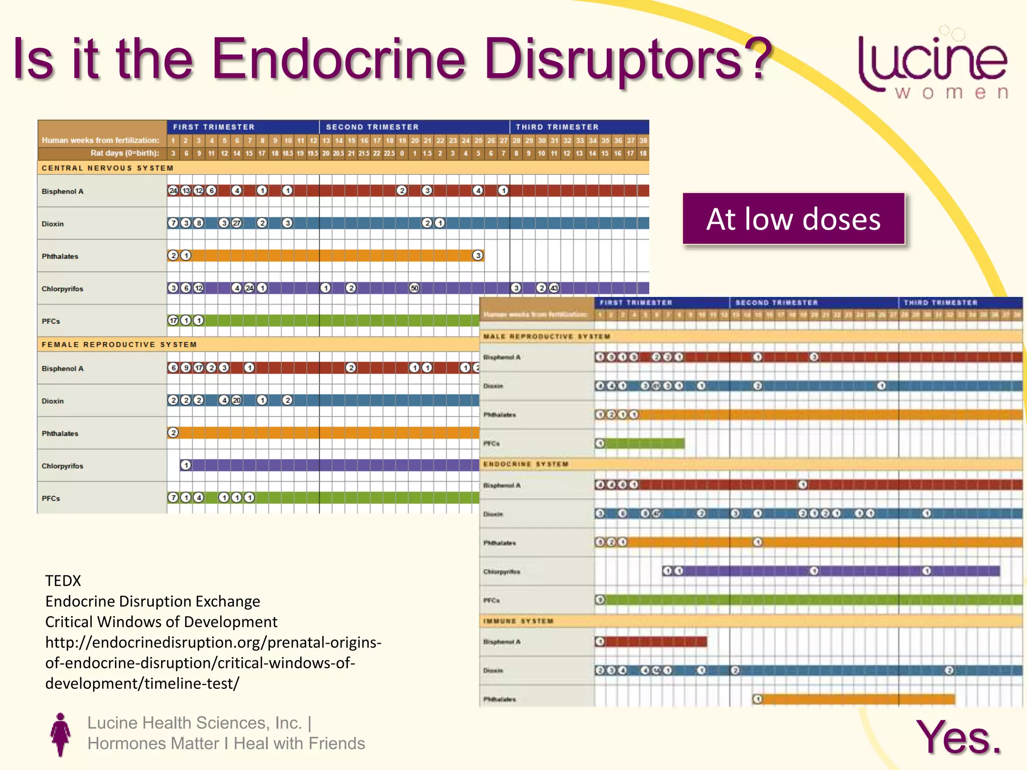 Lucine Health Sciences, Inc. |
Hormones Matter I Heal with Friends
Is it the Endocrine Disruptors?
TEDX
Endocrine Disruption Exchange
Critical Windows of Development
http://endocrinedisruption.org/prenatal-origins-
of-endocrine-disruption/critical-windows-of-
development/timeline-test/
At low doses
Yes.
 