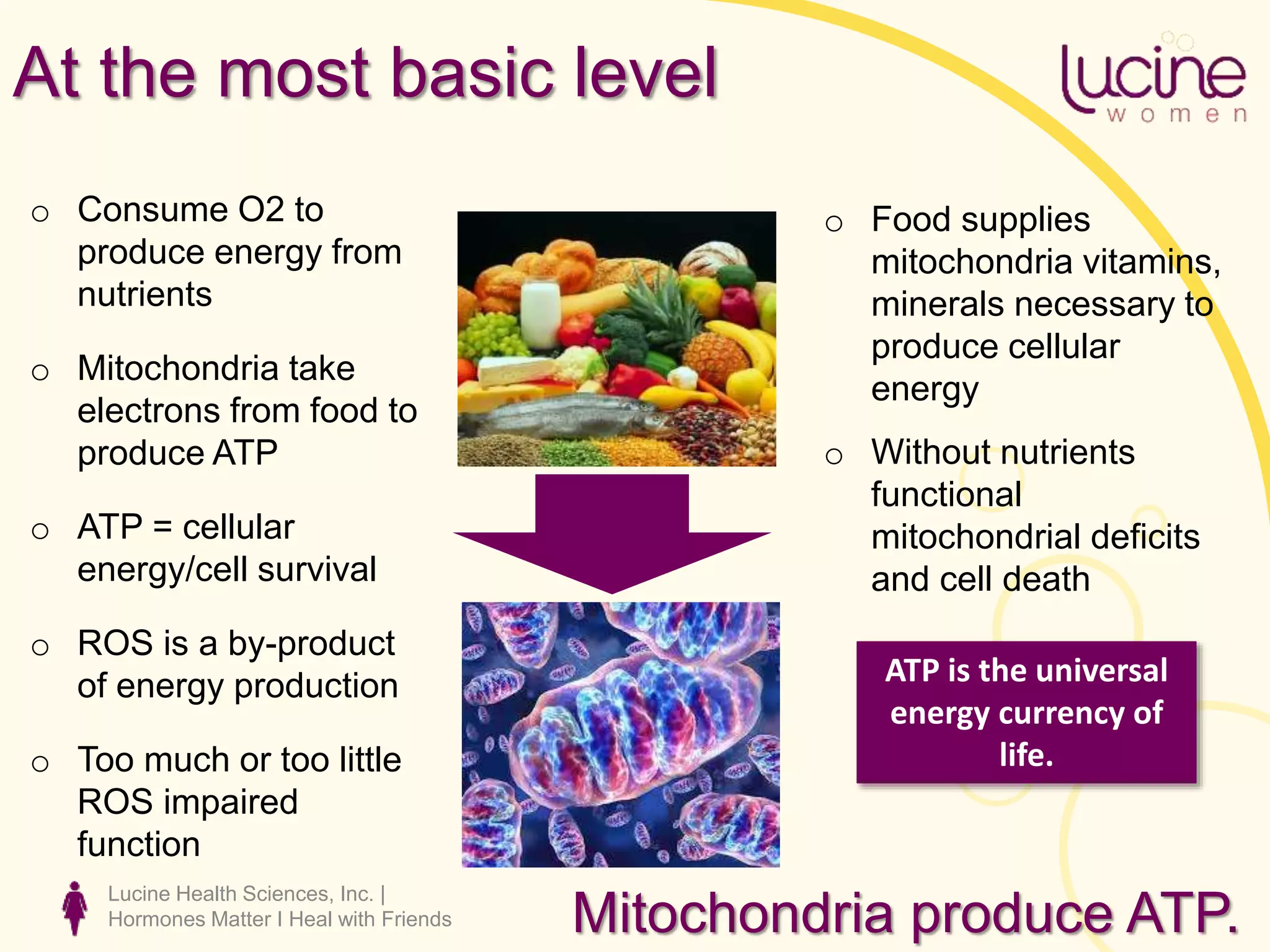 Lucine Health Sciences, Inc. |
Hormones Matter I Heal with Friends
At the most basic level
o Consume O2 to
produce energy from
nutrients
o Mitochondria take
electrons from food to
produce ATP
o ATP = cellular
energy/cell survival
o ROS is a by-product
of energy production
o Too much or too little
ROS impaired
function
o Food supplies
mitochondria vitamins,
minerals necessary to
produce cellular
energy
o Without nutrients
functional
mitochondrial deficits
and cell death
Mitochondria produce ATP.
ATP is the universal
energy currency of
life.
 