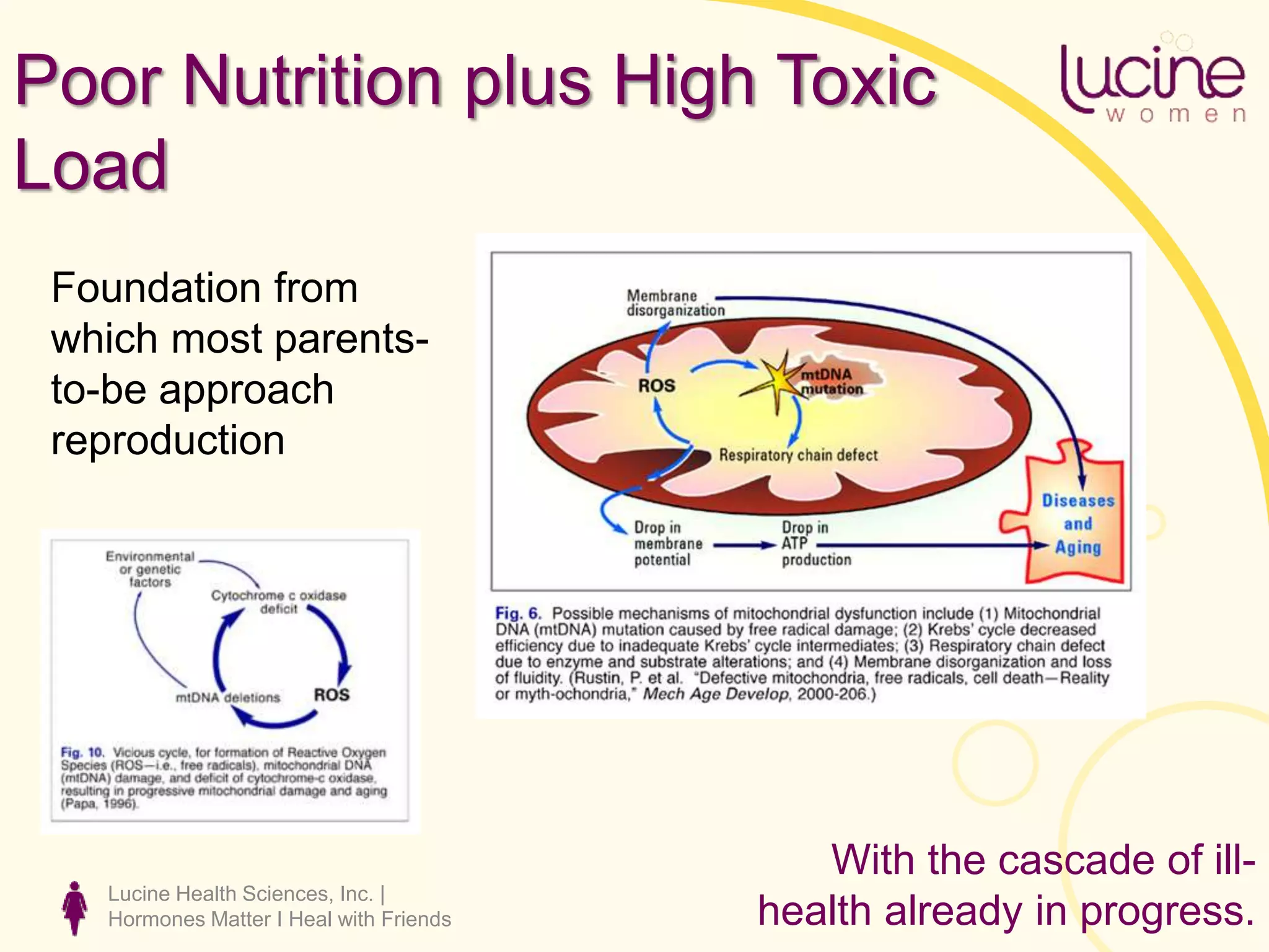 Lucine Health Sciences, Inc. |
Hormones Matter I Heal with Friends
Poor Nutrition plus High Toxic
Load
Foundation from
which most parents-
to-be approach
reproduction
With the cascade of ill-
health already in progress.
 