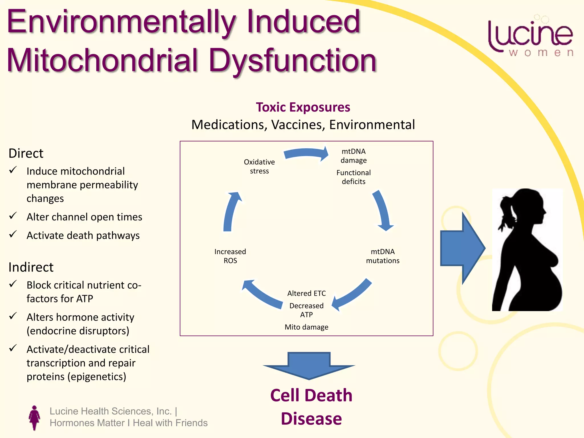 Lucine Health Sciences, Inc. |
Hormones Matter I Heal with Friends
Environmentally Induced
Mitochondrial Dysfunction
mtDNA
damage
Functional
deficits
mtDNA
mutations
Altered ETC
Decreased
ATP
Mito damage
Increased
ROS
Oxidative
stress
Toxic Exposures
Medications, Vaccines, Environmental
Direct
 Induce mitochondrial
membrane permeability
changes
 Alter channel open times
 Activate death pathways
Indirect
 Block critical nutrient co-
factors for ATP
 Alters hormone activity
(endocrine disruptors)
 Activate/deactivate critical
transcription and repair
proteins (epigenetics)
Cell Death
Disease
 
