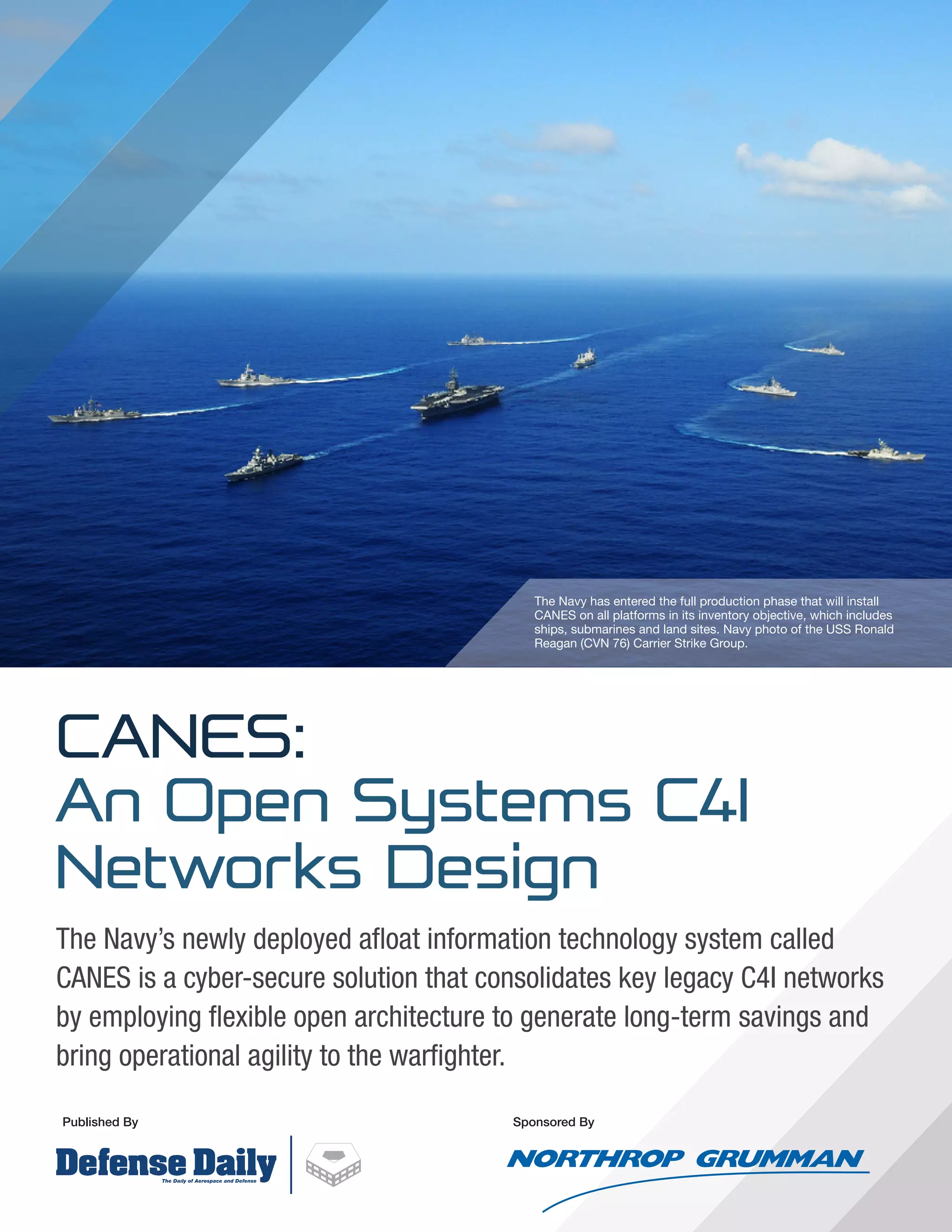 Canes_Supplement_Defense_Daily | PDF