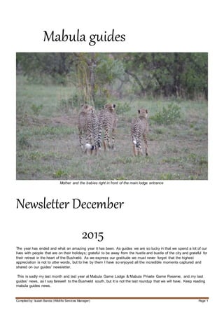 Compiled by: Isaiah Banda (Wildlife Services Manager) Page 1
Mabula guides
Mother and the babies right in front of the main lodge entrance
Newsletter December
2015
The year has ended and what an amazing year it has been. As guides we are so lucky in that we spend a lot of our
lives with people that are on their holidays; grateful to be away from the hustle and bustle of the city and grateful for
their retreat in the heart of the Bushveld. As we express our gratitude we must never forget that the highest
appreciation is not to utter words, but to live by them I have so enjoyed all the incredible moments captured and
shared on our guides’ newsletter.
This is sadly my last month and last year at Mabula Game Lodge & Mabula Private Game Reserve, and my last
guides’ news, as I say farewell to the Bushveld south, but it is not the last roundup that we will have. Keep reading
mabula guides news.
 