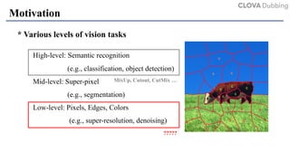 Rethinking Data Augmentation for Image Super-resolution: A ...