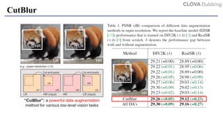 Rethinking Data Augmentation for Image Super-resolution: A ...