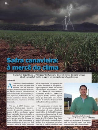Colheita de inverno e preparativos para safra de verão são destaques da Globo  Rural - Revista Globo Rural