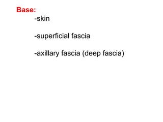 Base:
-skin
-superficial fascia
-axillary fascia (deep fascia)
 