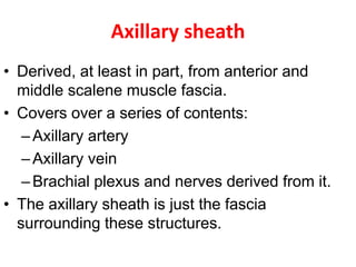 Axillary sheath
• Derived, at least in part, from anterior and
middle scalene muscle fascia.
• Covers over a series of contents:
–Axillary artery
–Axillary vein
–Brachial plexus and nerves derived from it.
• The axillary sheath is just the fascia
surrounding these structures.
 