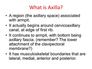 What is Axilla?
• A region (the axillary space) associated
with armpit.
• It actually begins around cervicoaxillary
canal, at edge of first rib.
• It continues to armpit, with bottom being
axillary fascia. (remember? The lower
attachment of the clavipectoral
membrane?)
• It has musculoskeletal boundaries that are
lateral, medial, anterior and posterior.
 