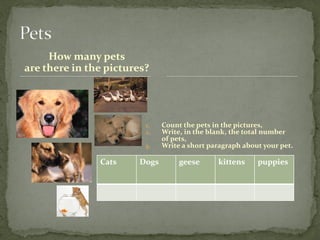 How many pets
are there in the pictures?
1. Count the pets in the pictures,
2. Write, in the blank, the total number
of pets,
3. Write a short paragraph about your pet.
Cats Dogs geese kittens puppies