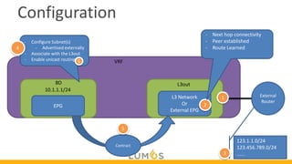 Comprehensive Guide to Layer 3 Routing and External Network ...