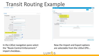 Comprehensive Guide to Layer 3 Routing and External Network ...